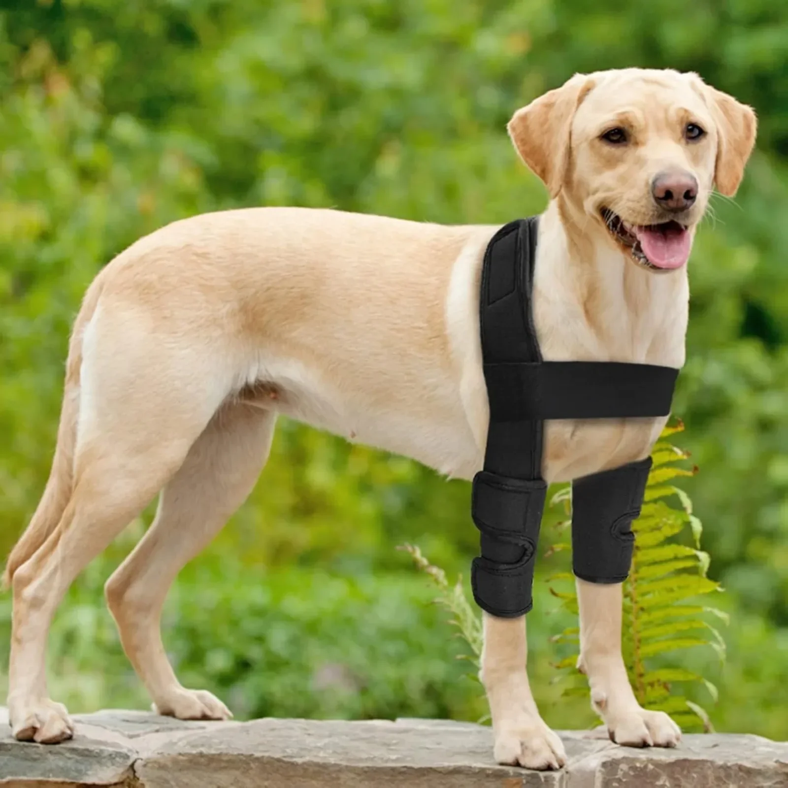 Dog Front Leg Knee Brace,Dog Leg Support with Hook & Loop,Adjustable Pet Leg Wounds Protector for Helping with Loss of Stability