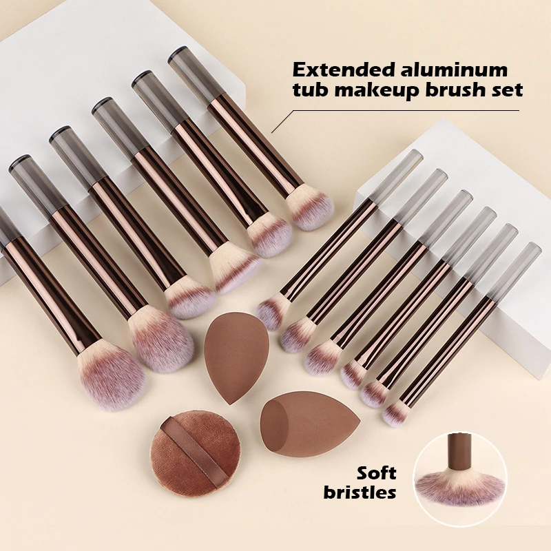 

12pcs Professional Makeup Brush Set Eyeshadow Powder Blush Brushes 2pcs Makeup Sponges makeup brushes set premium