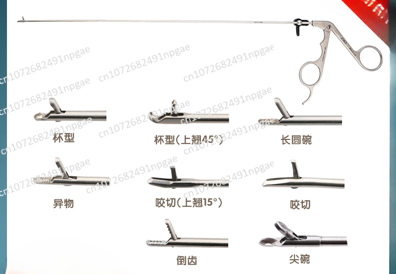 Intervertebral Foramen Nucleus Pulposus Forceps Biopsy Forceps Biting