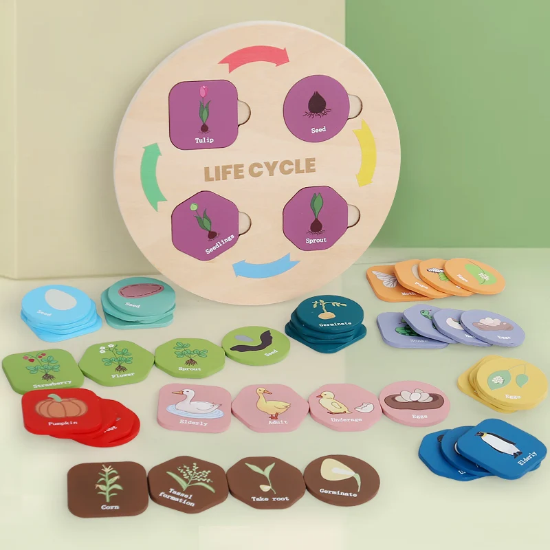 Life Cycle Board Montessori Kit Biology Science Education For Kids Sensory Tray Animal Figure Life Cycle Sorting Christmas Gift