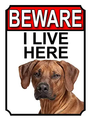 Rhodesian Ridgeback Dog Breed Gate Beware I Live Here Metal Wall Poster Tin Sign Vintage BBQ Restaurant Dinner Room Cafe Shop D