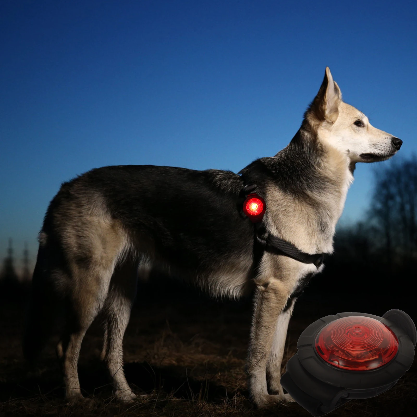 

Reinforced Night Walking Lamp Anti Lost Portable Dog Collar Durable Plastic Pet Supplies Outdoor Cat