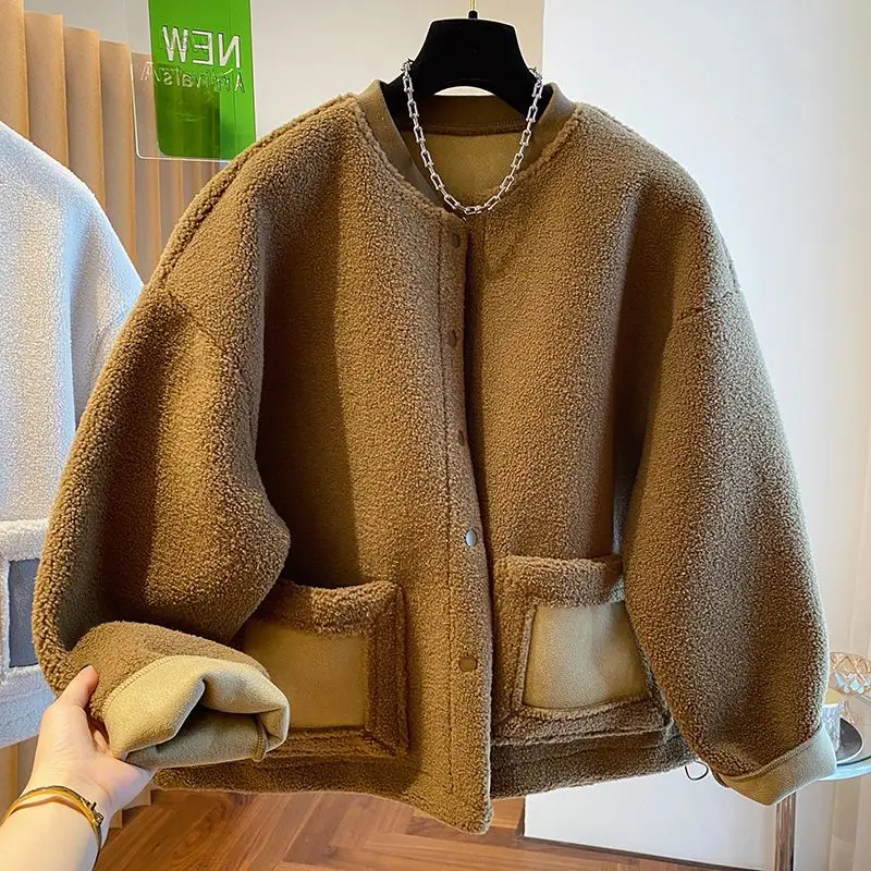 2025 New Korean Version of Loose Casual Lamb Wool Coat Women's Autumn and Winter Wear Thickened Suede Fur Integrated Top