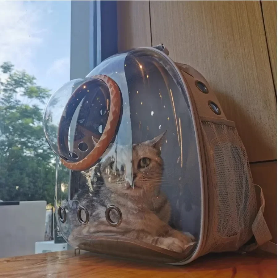 Portable Cat Bag Cute Zipper Travel Shoulders Ladies Cat Bag Breathable Outdoor Case Transparent Hard Shell Mochilas Pet Carrier