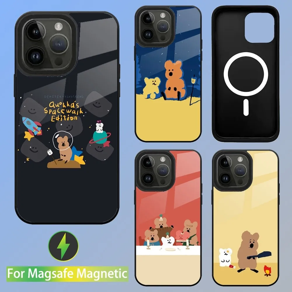 Korea Koala D-Dinotaeng Cute Phone Case For iPhone 15,14,13,12,11,Plus,Pro,Max Mini Magsafe Magnetic Wireless Charging