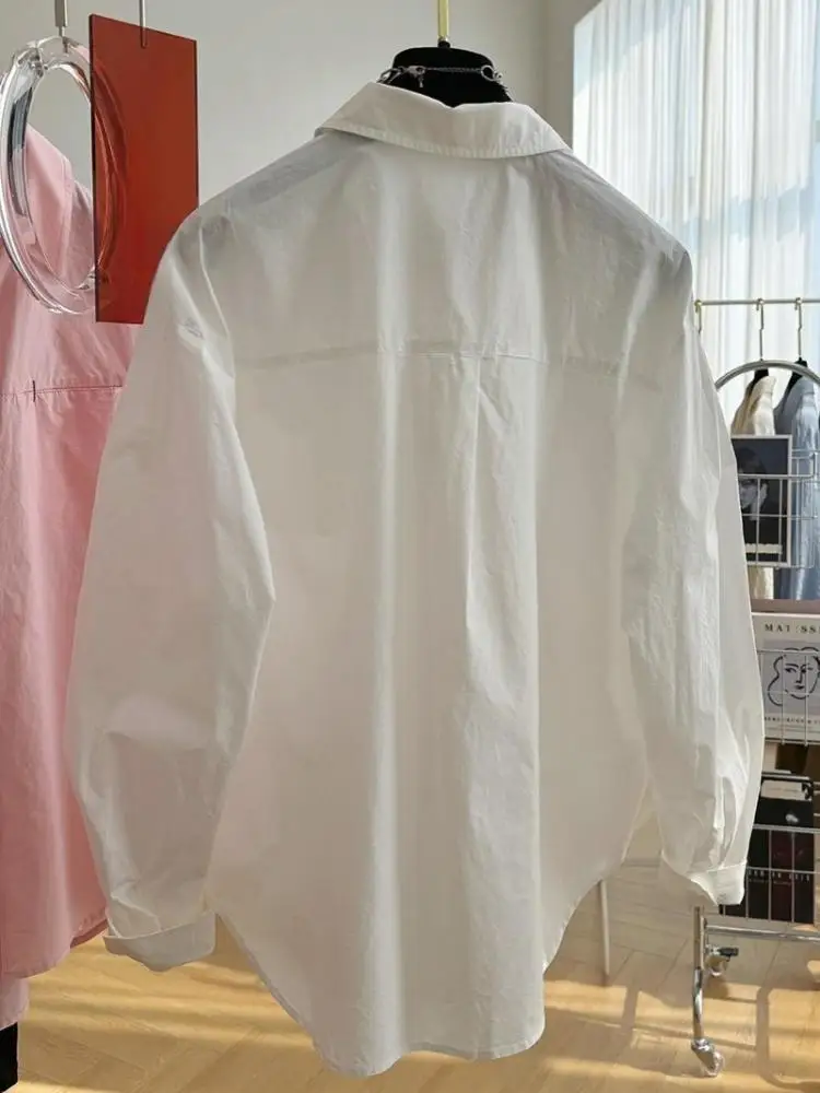 

2025 Autumn New Long Sleeved Shirt Women's Spring Autumn French Style Blouse Top