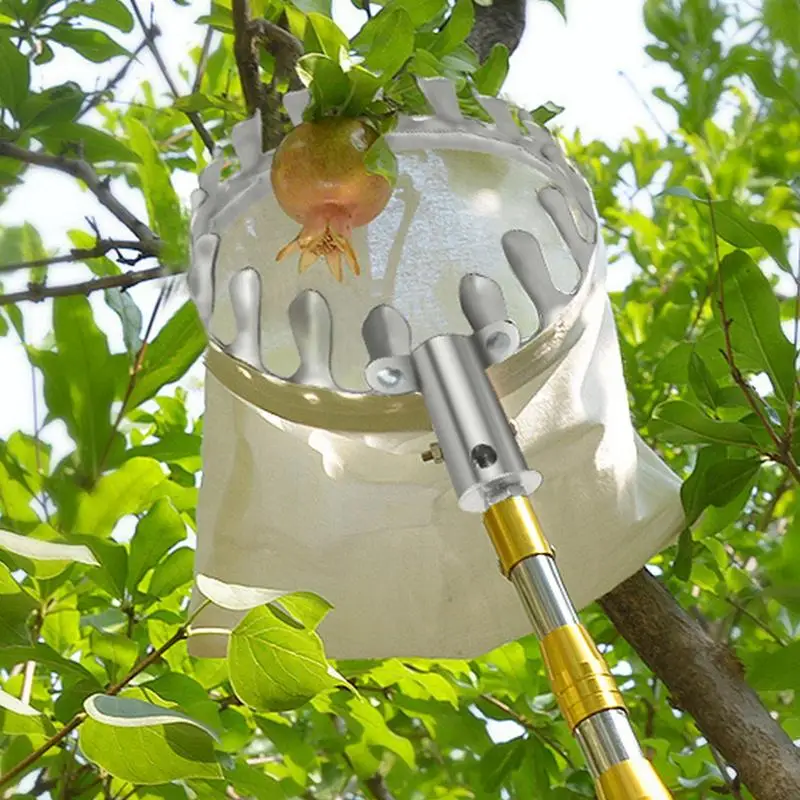 Recolector de frutas de Metal con cesta, herramienta de recolección de árboles altos, cereza, melocotón, huerto, jardinería, 1 unidad