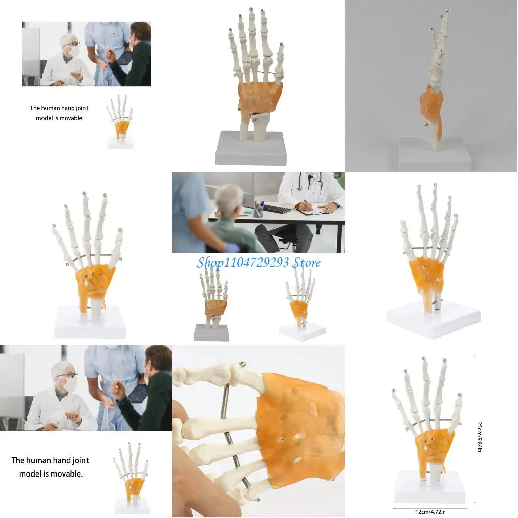 Y2GD Interactive Human Hand Anatomy Model Articulated Joints Hand Skeleton Model Durability PVC Construction