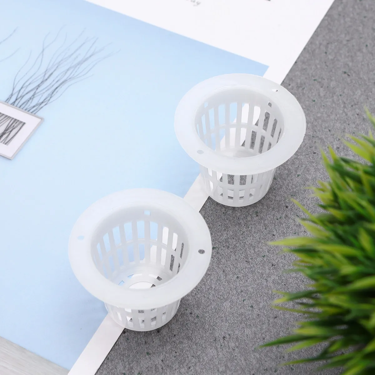 50Pcs 33-42mm Slotted Net Pots Promote Plant Growth Soilless Culture Vegetable Pots Hydroponic Orchids Net Basket
