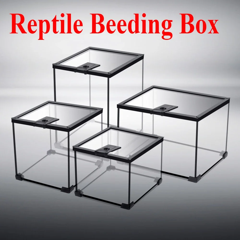 Reptile Pet Glass Feeding Box Turtle Terrarium Snake Spider Lizard Horned Frog Feeding Box Reptiles Ecological Landscape Boxes