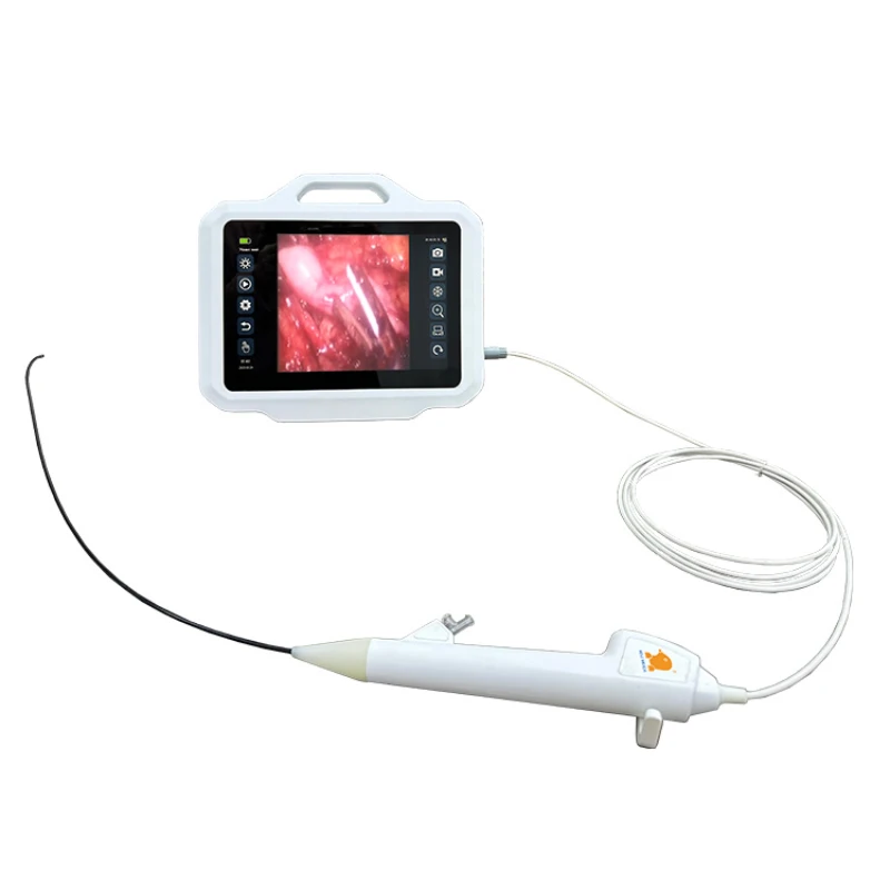 Ureteroscope New Type Endoscope  System Hysteroscopy Laparoscope Uroscope Disposable Urological Scope Urethrascope