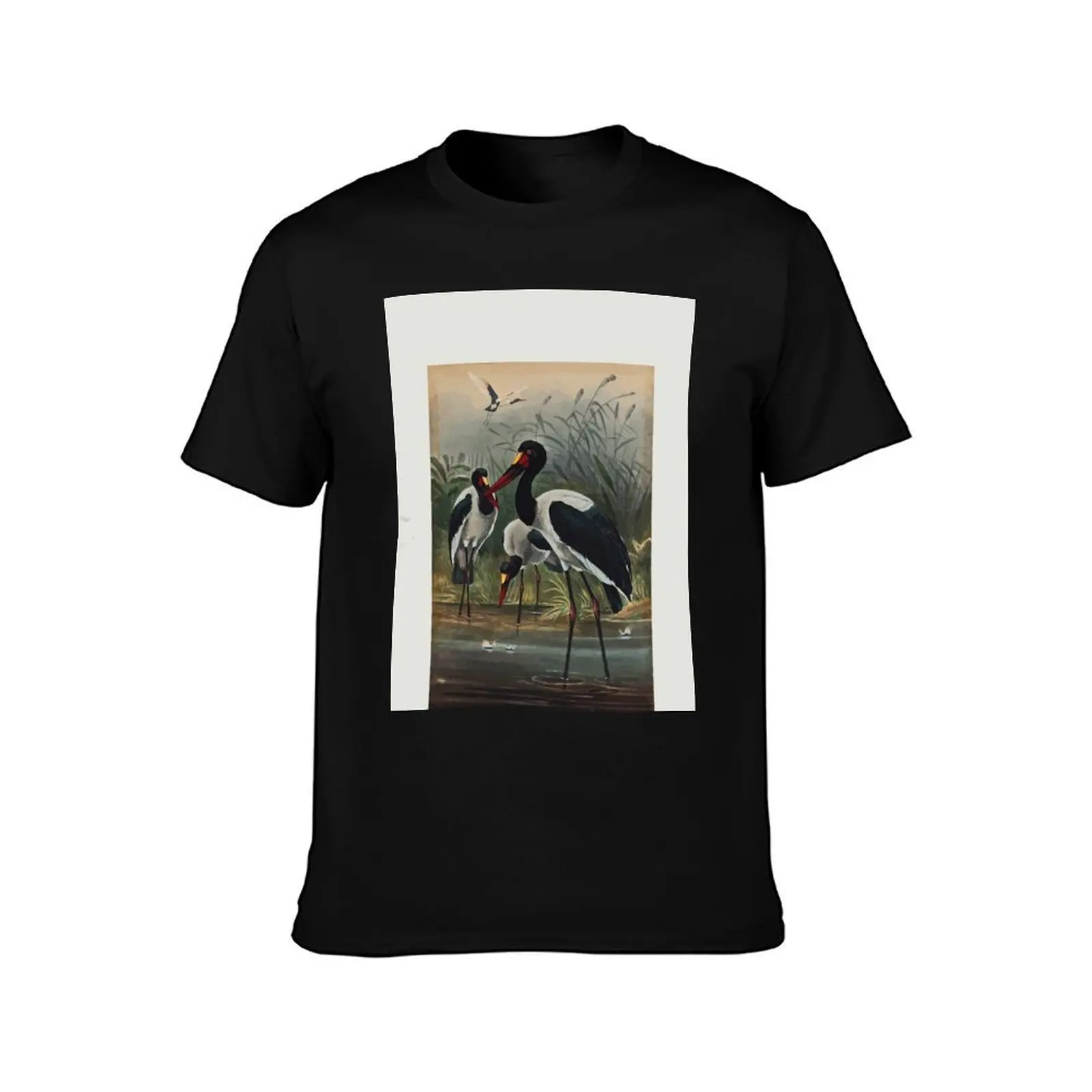 Zoological sketches by Joseph Wolf 1861 to 1867 092 The Saddle Billed Stork T-Shirt customizeds mens tall t shirts