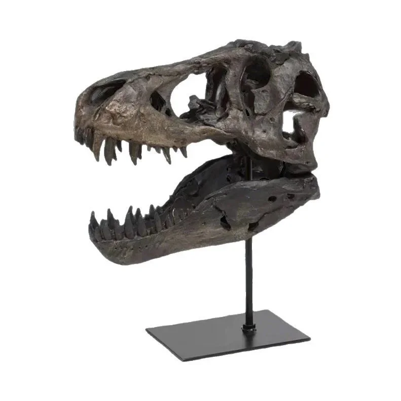 Large size Tyrannosaurus rex skull model Dinosaur ornament figurine for home and office entrance decoration Statues