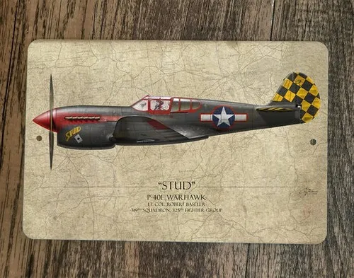 Stud P-40E Warhawk Military Jet Plane  Metal Wall Sign Poster