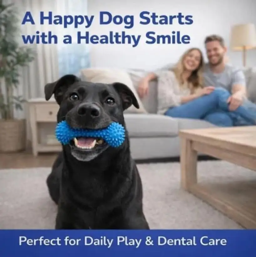 Dual Function Pet Dental Chew Stick Durable Dog Teeth Cleaning Toy Simplify Daily Brushing Reduce Plaque Freshen Breath view 4