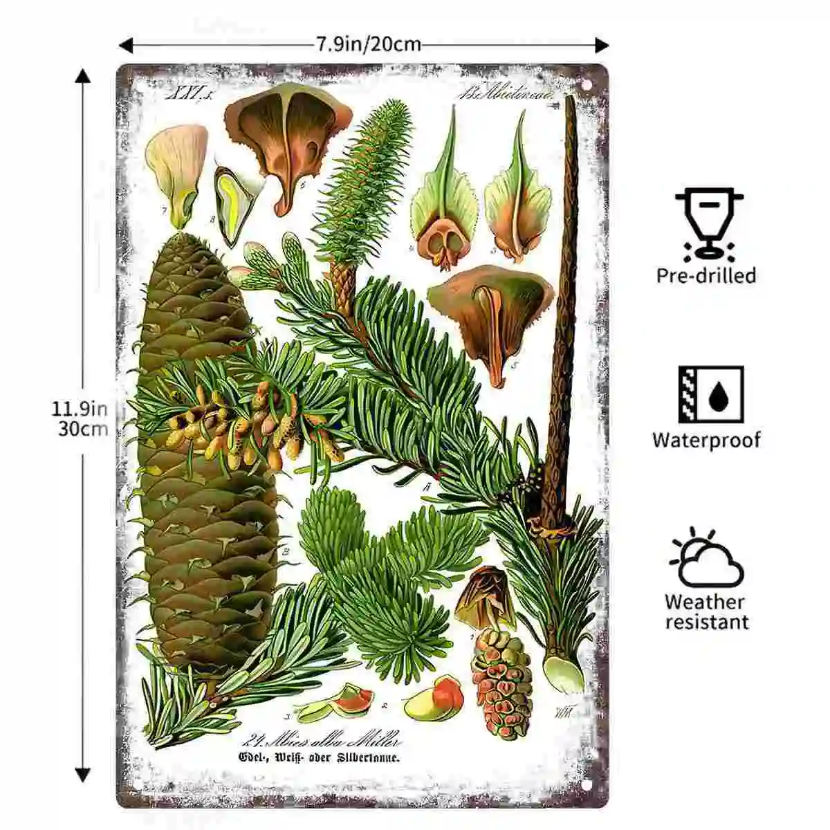 2D FLAT 1pc Vintage Botanical Pine Cone and Evergreen Branch Wall Art Decoration for Home Office Bedroom Porch And Garden