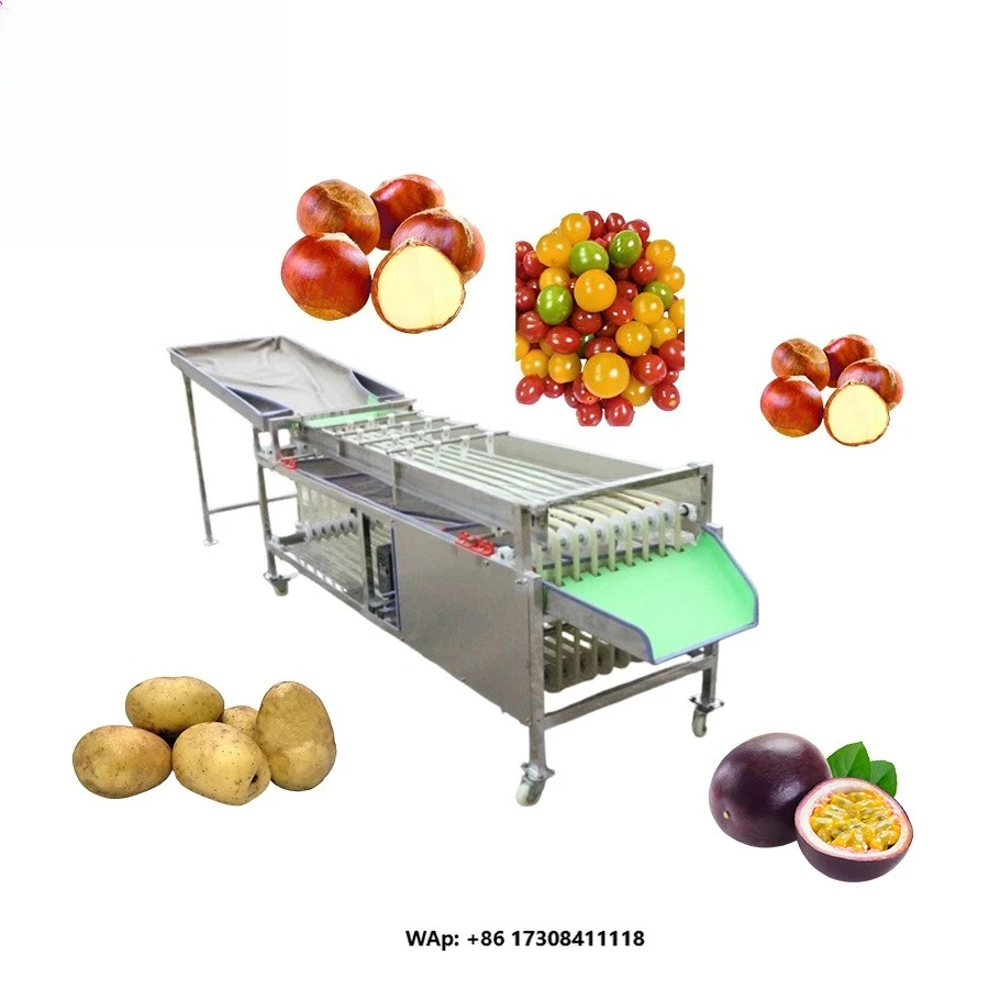 Fruit Sorting Machine for Pomegranate Cherry Tomatoes & Vegetables-Grading Line for Fruit Processing Plant