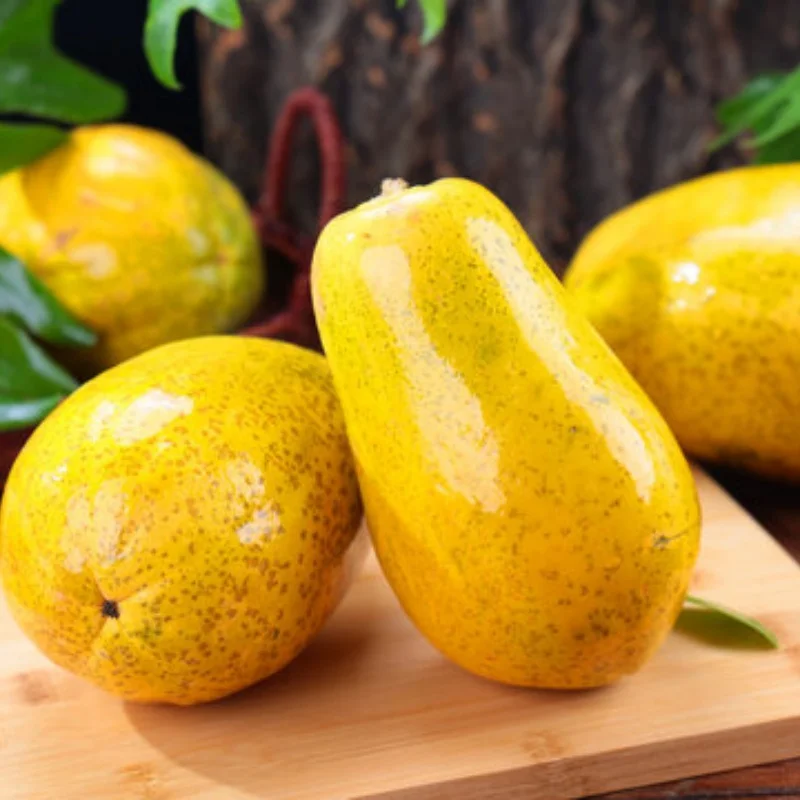 HSP 1:10 شاحنة زيت سبائك الألومنيوم ماسورة العادم أنبوب العادم 102009 02026 مع خرطوم الكوع #1