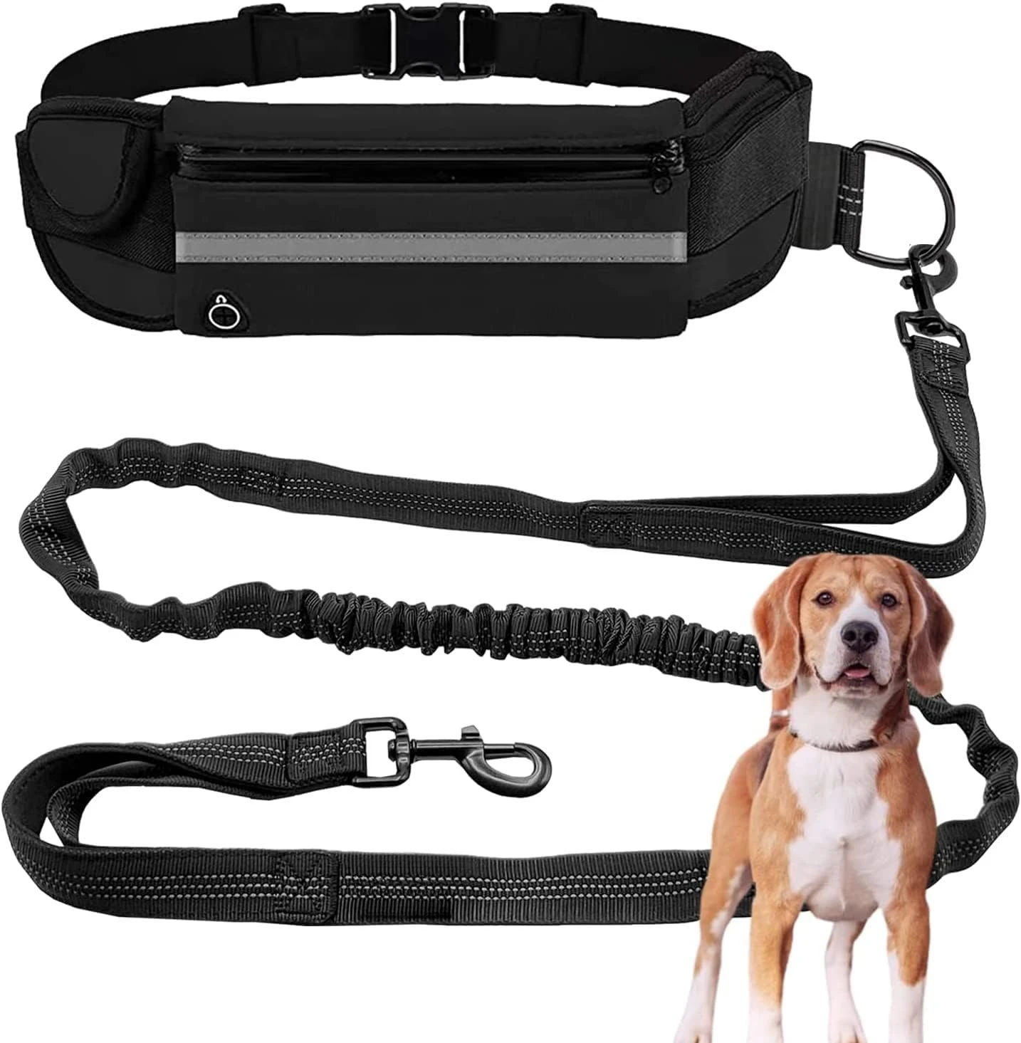 #21 Compare Dog Seat Belts Before You Buy