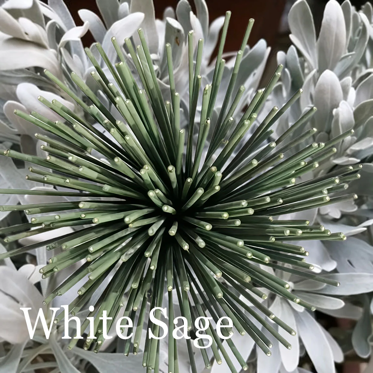 25/135PCS White Sage Aromatherapy Sticks , Suitable for Yoga and Meditation | Purify the Mind, Eliminate Negative Energy