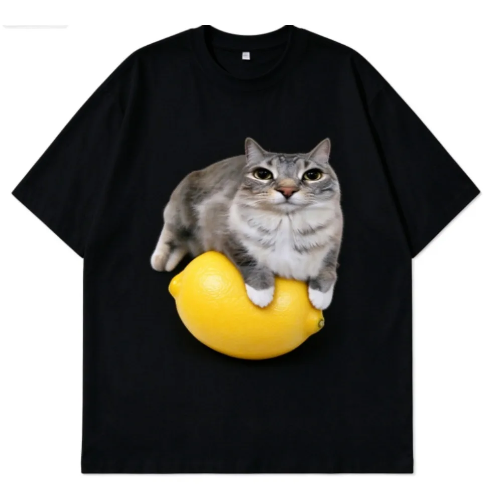Men's Novelty Fruit Cat Graphic Tee, Cute Grey Cat On Avocado Lemon Peach Mango Orange Print Cotton Short Sleeve T Shirt