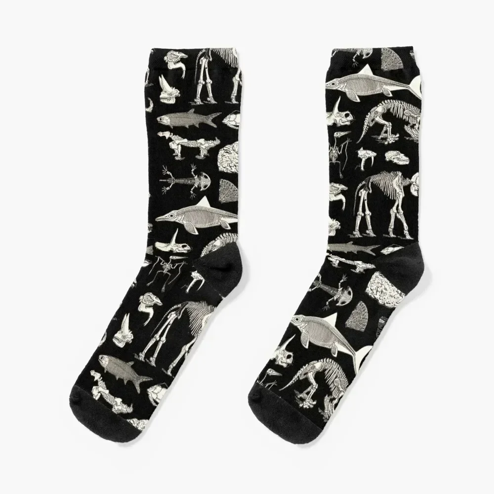 Paleontology Illustration Socks Wholesale moving stockings Men Socks Luxury Brand Women's