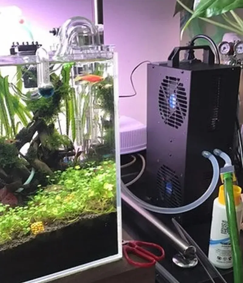 Constant Temperature Adjustable Semiconductor Refrigerator Small Chiller 100L/150L Aquarium Fish Tank Circulating WateR Chiller