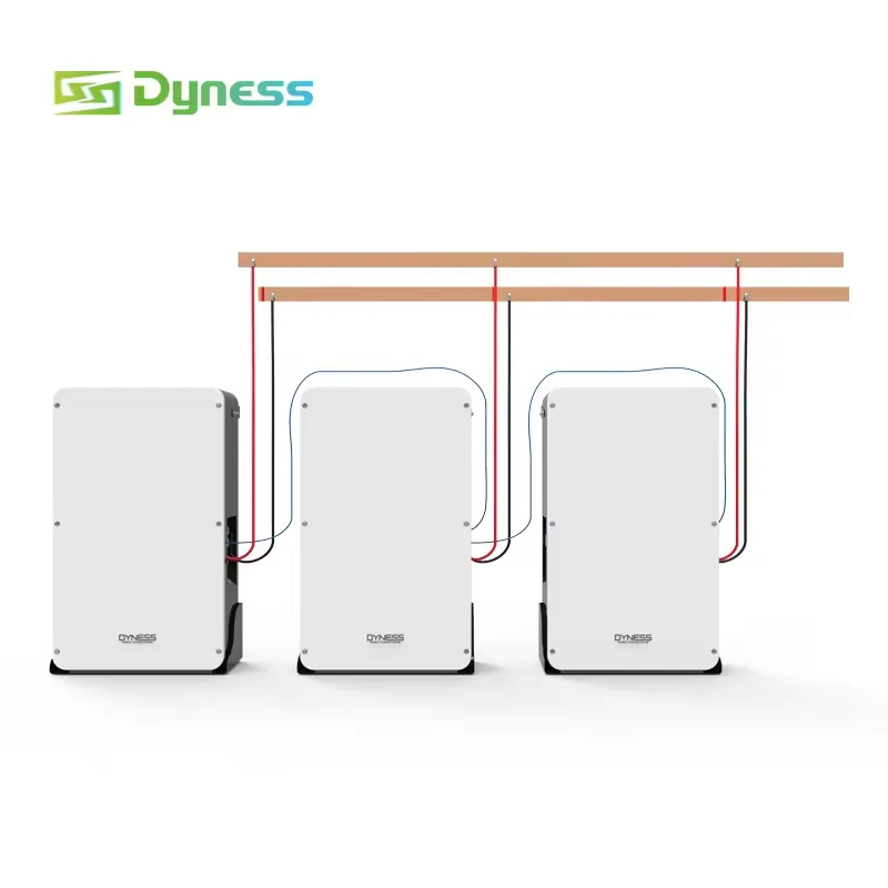 TLF Dyness Powerbox Pro montaje en pared batería de litio Lifepo4 para el hogar 200ah 51.2v Powerwall 10kwh batería de almacenamiento de energía