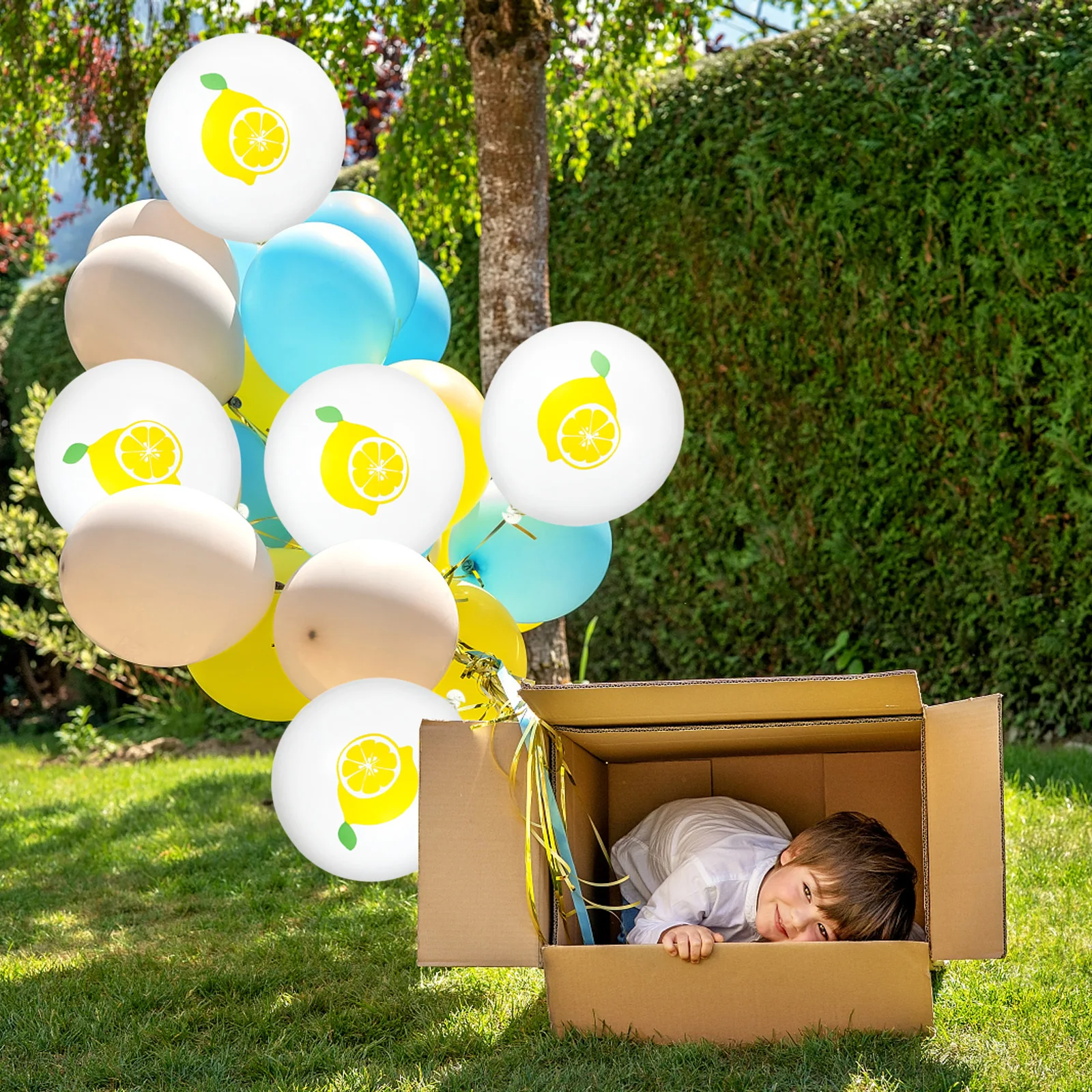 

10Pcs Party Balloons Latex Lemon Pattern 12 Inch Birthday Wedding Hanging Balloon Decoration Supplies Lemon Balloons