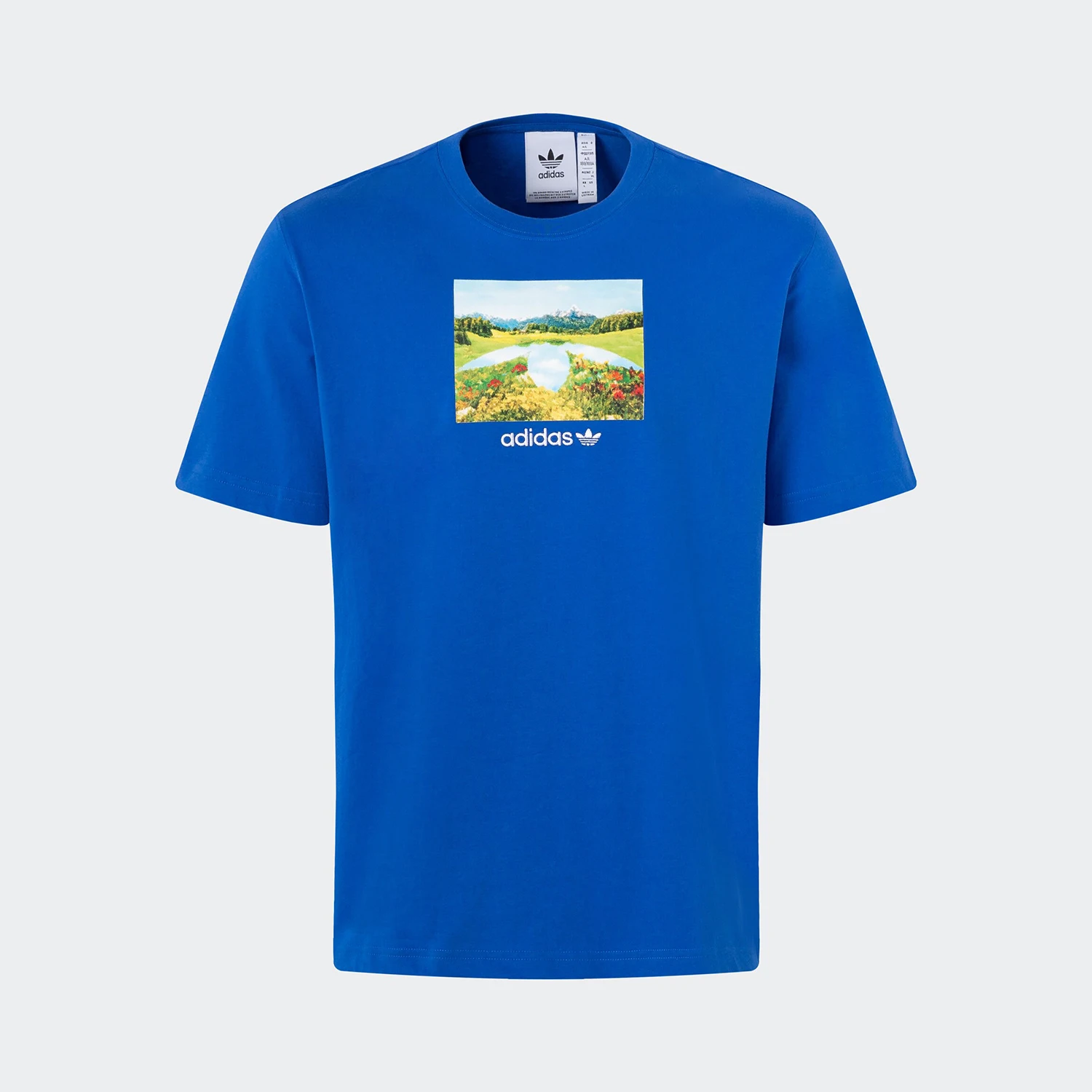 

Adidas Originals GRAPHIC TEE Men's Sport T-Shirt JF2859