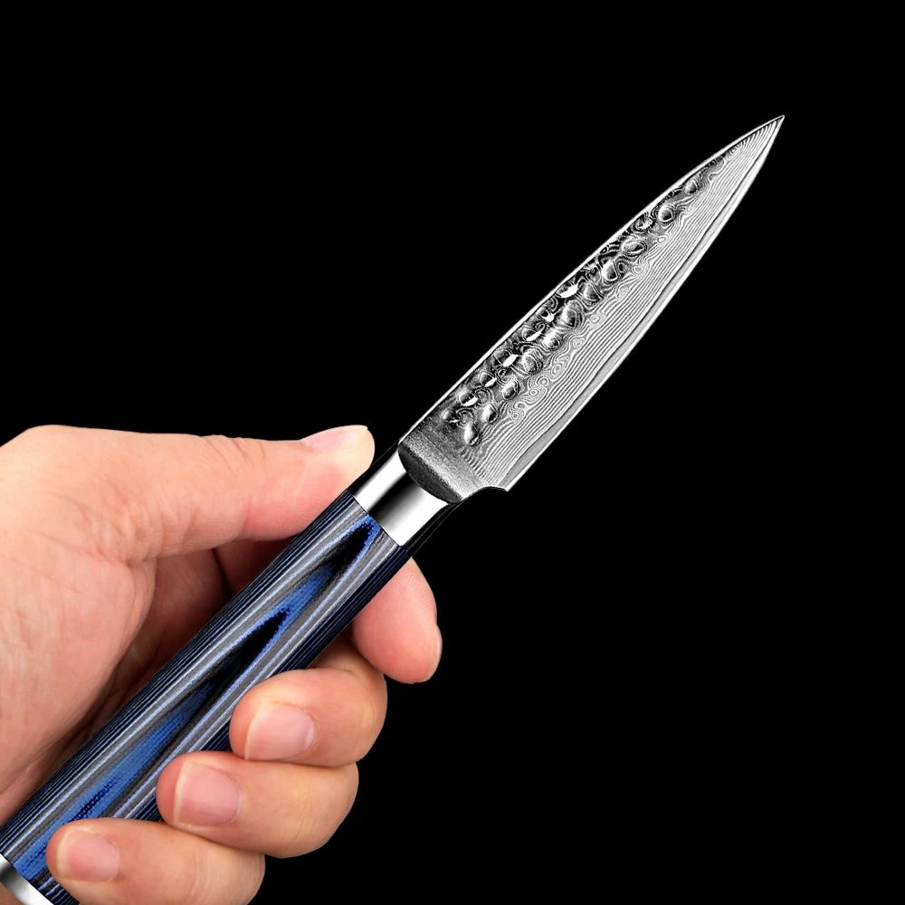 

XITUO Paring Knife 3.5 inch Chef Knife Damascus Steel Knife Fruit and Vegetable Cutting Chopping Carving Knives Non-stick Blade