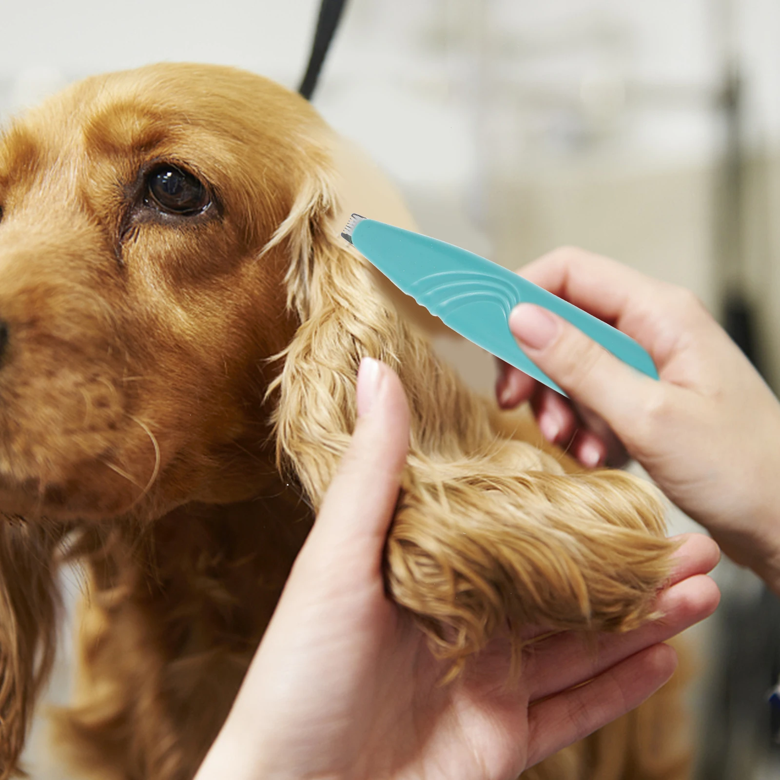 

Dog Paw Trimmer Grooming Supplies Cat Clippers Paws for Small Dogs Shaver Puppy