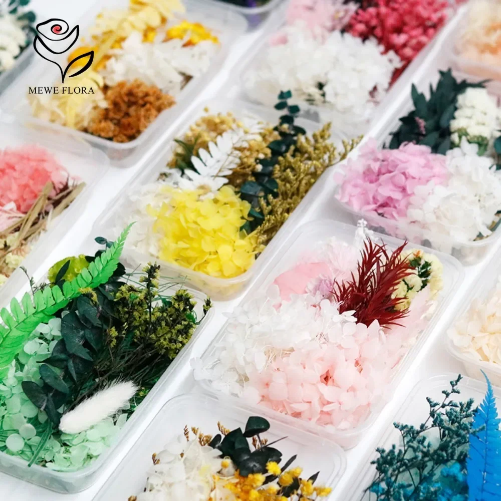 Dried Flowers Box for Resin Jewelry Molds Real Pressed Flower Leaves Mixed Colorful DIY Crafts Art Candle Making Floral Decors