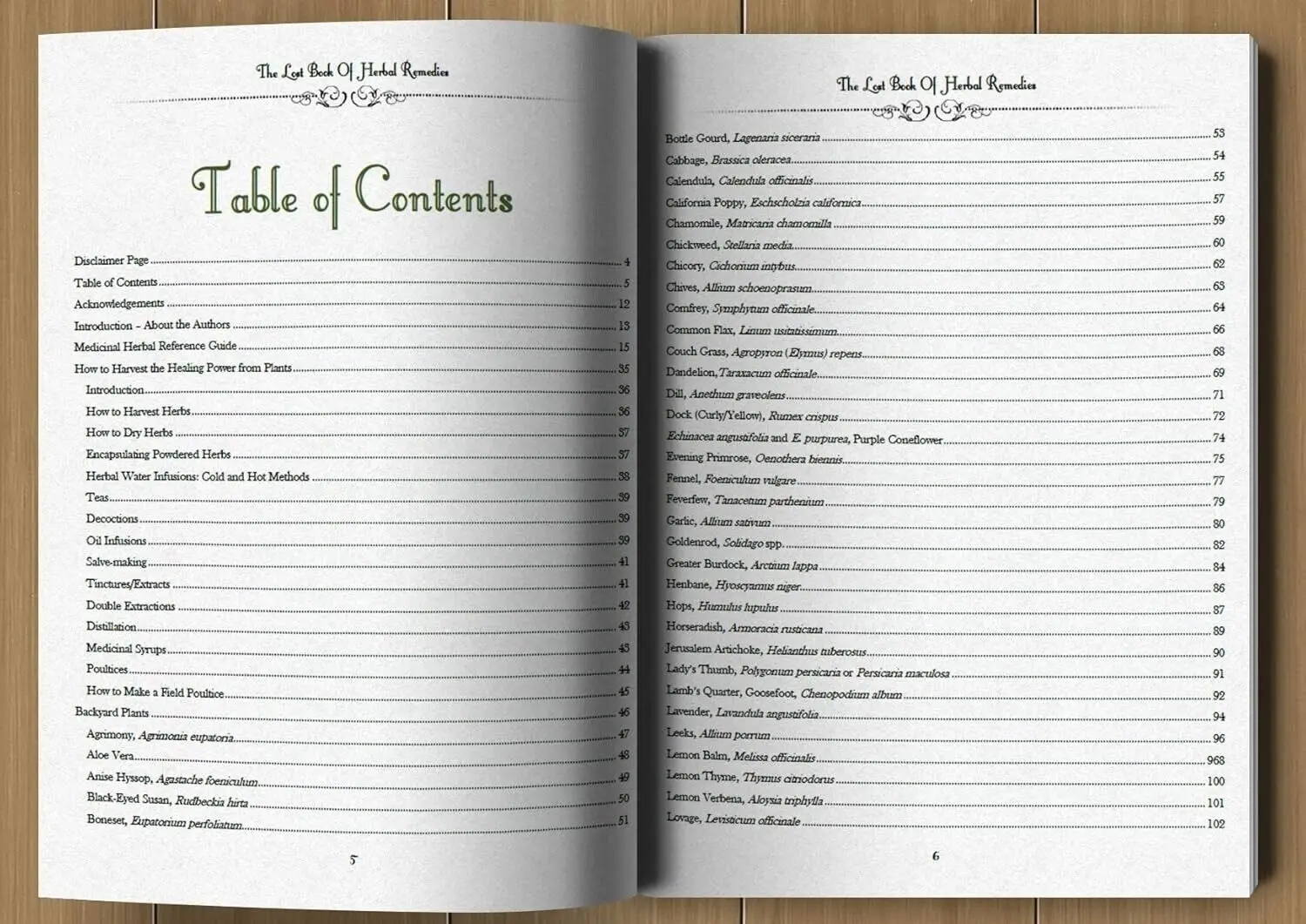 O Livro Perdido das Ervas: As Poderes Curativos das Medicamentos Plânios