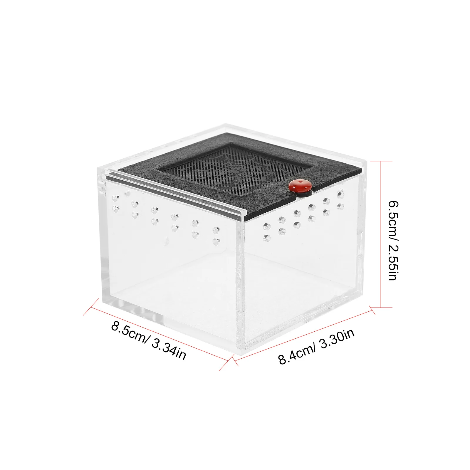 Kotak Makan Reptil Akrilik Transparan Terarium dengan Ventilasi untuk Laba-laba, Kadal, Siput, Serangga, Habitat Hewan Peliharaan, Kotak Pajangan