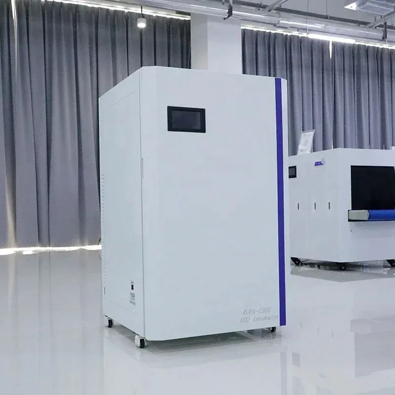100L-260L Air Jacket Constant Temperature Shaking Incubator Laboratory Biological Equipment