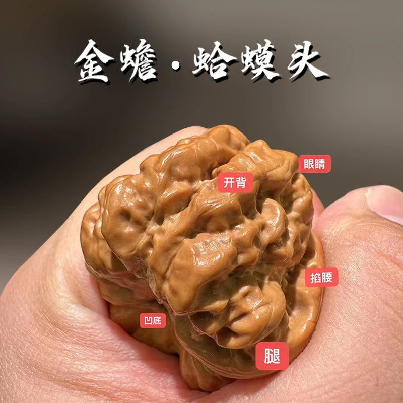 

Premium walnuts from Yanqing: open-back , leg-wagging, waist-squeezing golden, lion, pointed tip hand piece