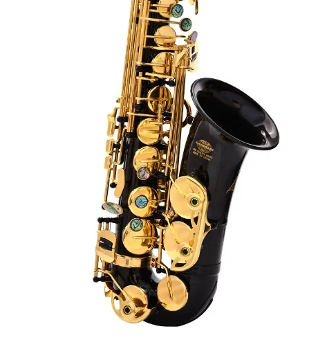 S-20 Black Gold Lacquer Brass Alto Instrument Professional Eb Colorful Shell China Alto Sax Saxophone with Accessories