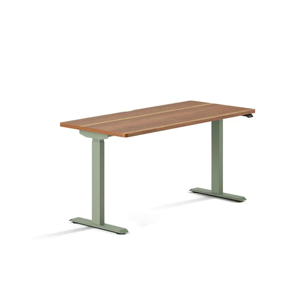 

Duo Standing Desk 58 Inches Adjustable Standing Desk with 20 Range OLED Control Panel Frameless Design amp Compact Size Suitabl