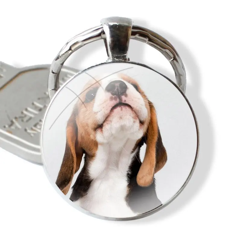 25mm Glass Cabohcon Keychain Key Rings for Women Men Jewelry Gift sweet beagles puppies Loyal Dog