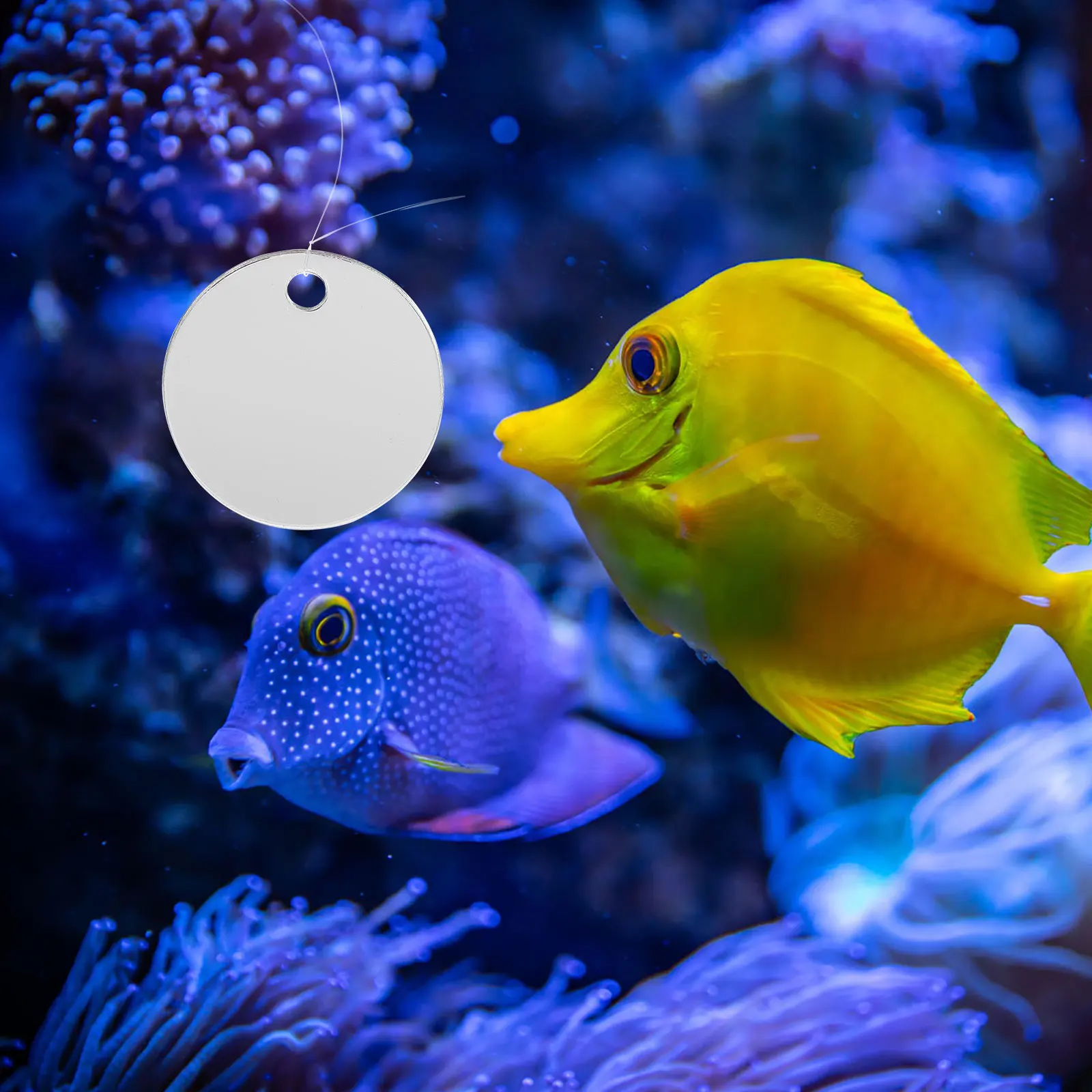 

Fish Tank Mirror Accessories Plastic Floating Decorative Toy Small Aquarium Pets Training Betta Fish Mirror Betta Tank