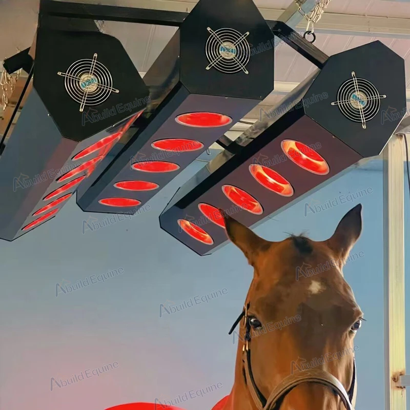 

Redfy Barn Use Equine Led Therapy Light Infrared Solarium Device