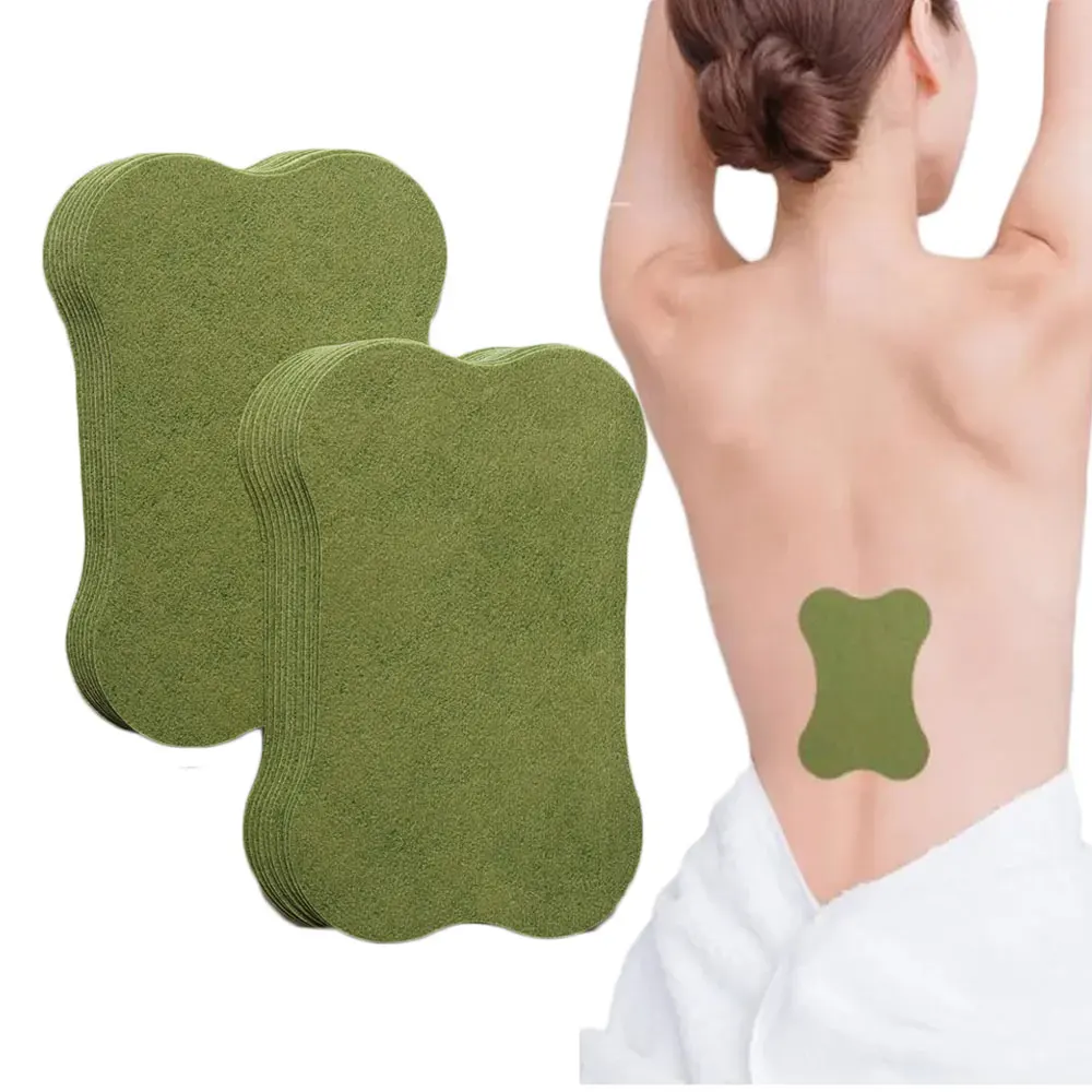

120pcs Daily Back Fatigue Patch B0055
