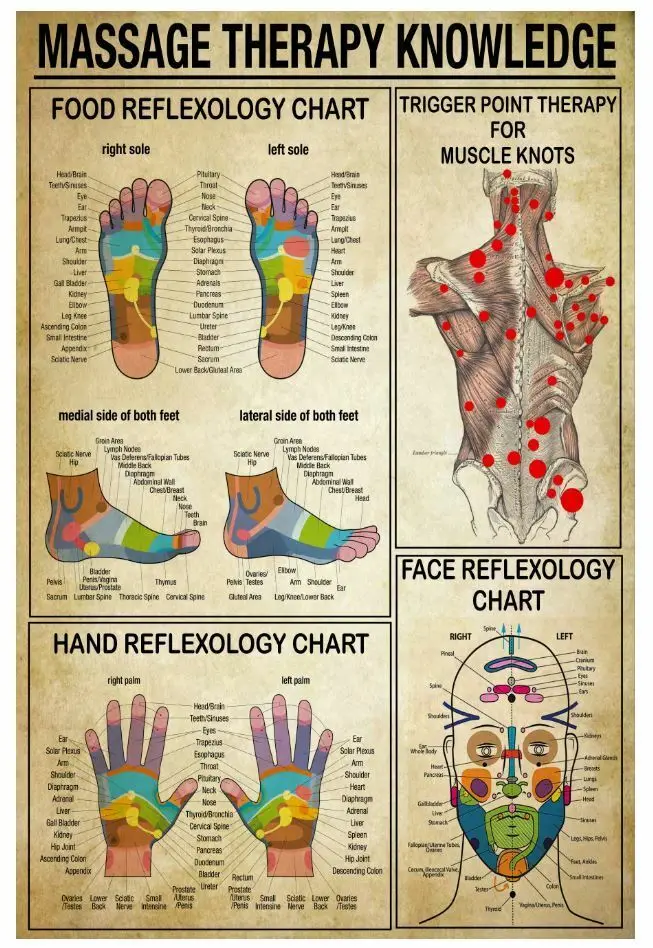 Tableau de réflexologie des pieds, connaissance de la thérapie de Massage, thérapie des points de déclenchement, image d'art imprimée, affiche