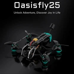 Sub250 Oasisfly25 2,5-calowy dron HD O3 FPV/WTFPV Quadcopter Freestyle z odbiornikiem PNP/TBS NanoRX/ELRS2.4 Złącze XT30