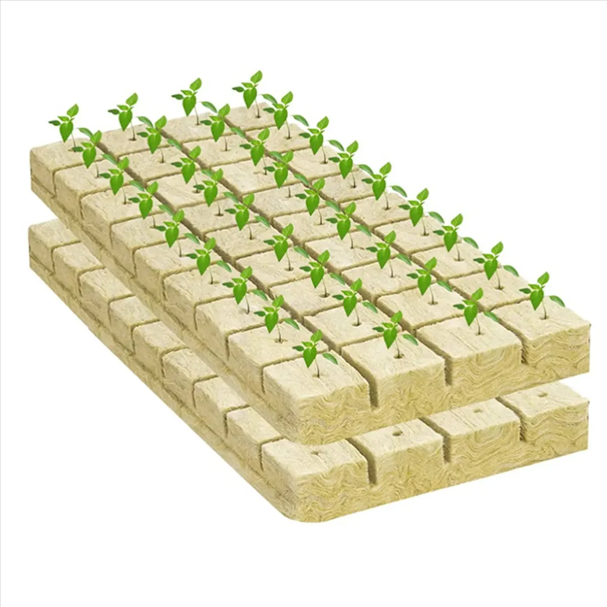 ABNQ 50Pcs Stonewool Hydroponic Grow Media Cubes Plant Cubes Soilless Substrate Seeded Rock Wool Plug Seedling Block