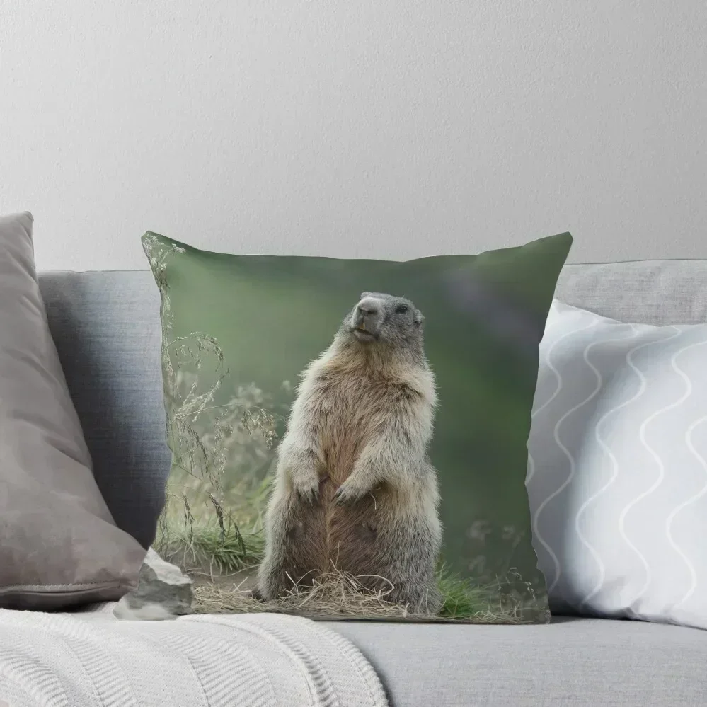 

Marmota marmota Throw Pillow Decorative pillowcase Cusions Cover pillow