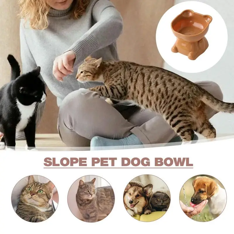 Tilted Cat Bowl 15Tilt Elevated Cat Bowls Spill Proof Dog Bowl Cute Cat Food Bowl For Food And Water Large Capacity Dog Dishes