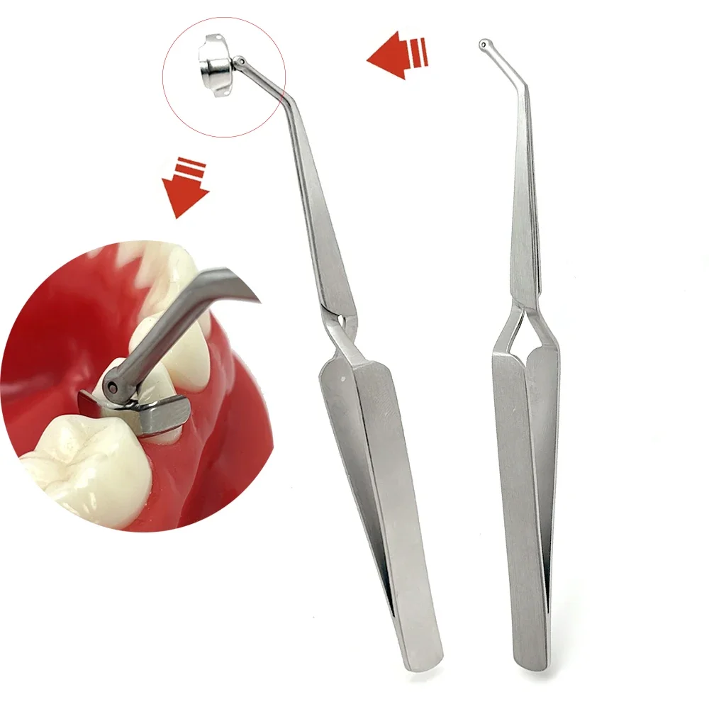 

Stainless Steel Dental Matrix Bands Holder Clamp with Sectional Placement Forceps for Precise Composite Filling Restoration