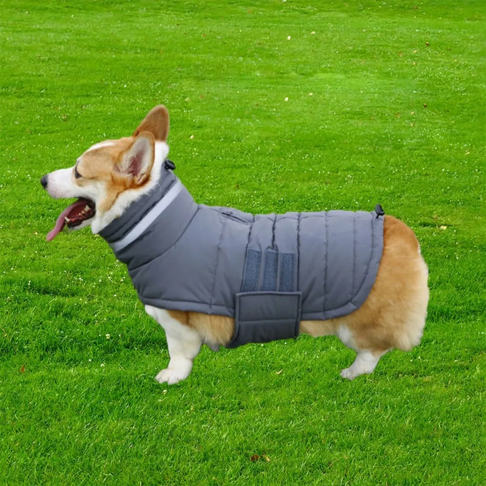 

Large Dog Rainproof Warm Cotton Coat for Outdoor Winter Walks and Cold Weather Protection Suitable for Corgi and Big Pets